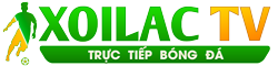văn tả